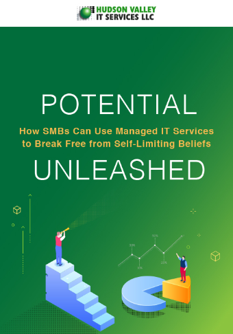 LD-HudsonValley-Potential-How-SMBsCanUse-ManagedITServices-eBook-Cover